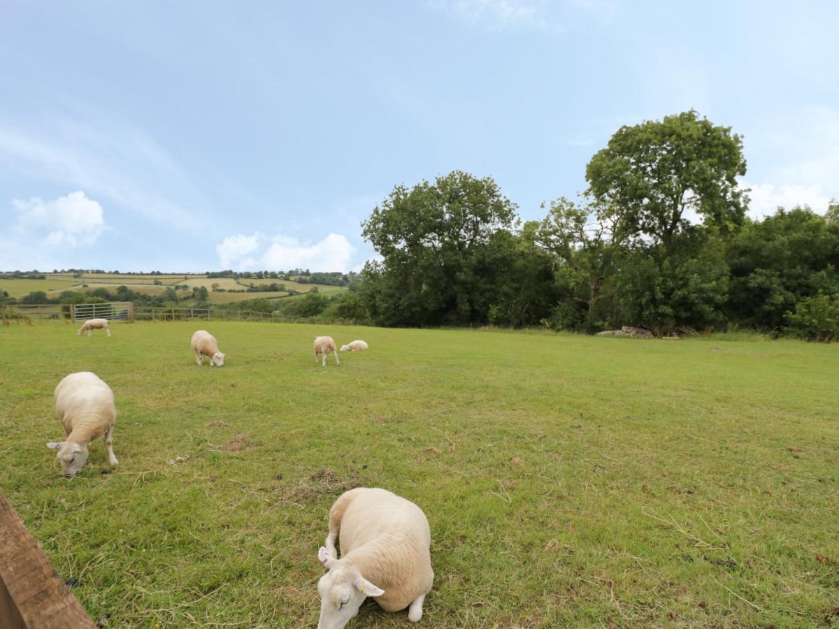 Holmer Farm Лемінстер Екстер'єр фото